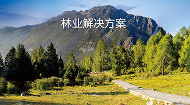 四川林業(yè)解決方案
